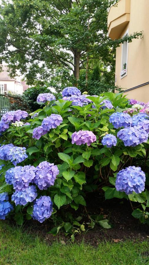 Mariánské Lázně Apartment Barbara מראה חיצוני תמונה