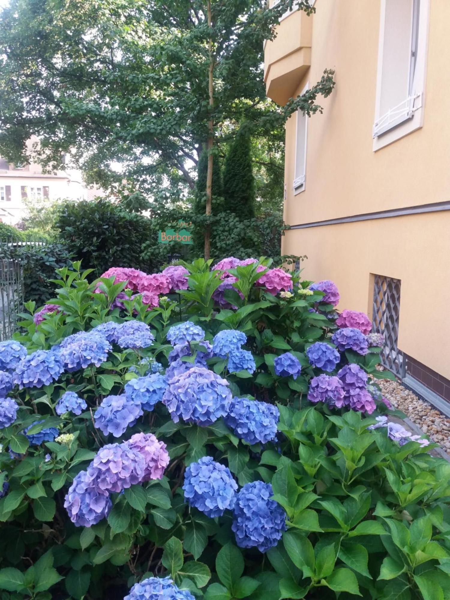Mariánské Lázně Apartment Barbara מראה חיצוני תמונה